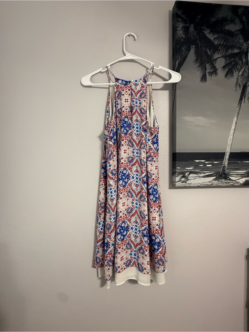 Pink Rose Red, White & Blue Lined Dress - Picture 6 of 8